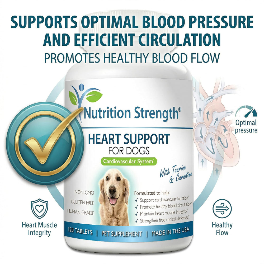 Nutrition Strength Q10: antioxydant soutenant la fonction musculaire du cœur.