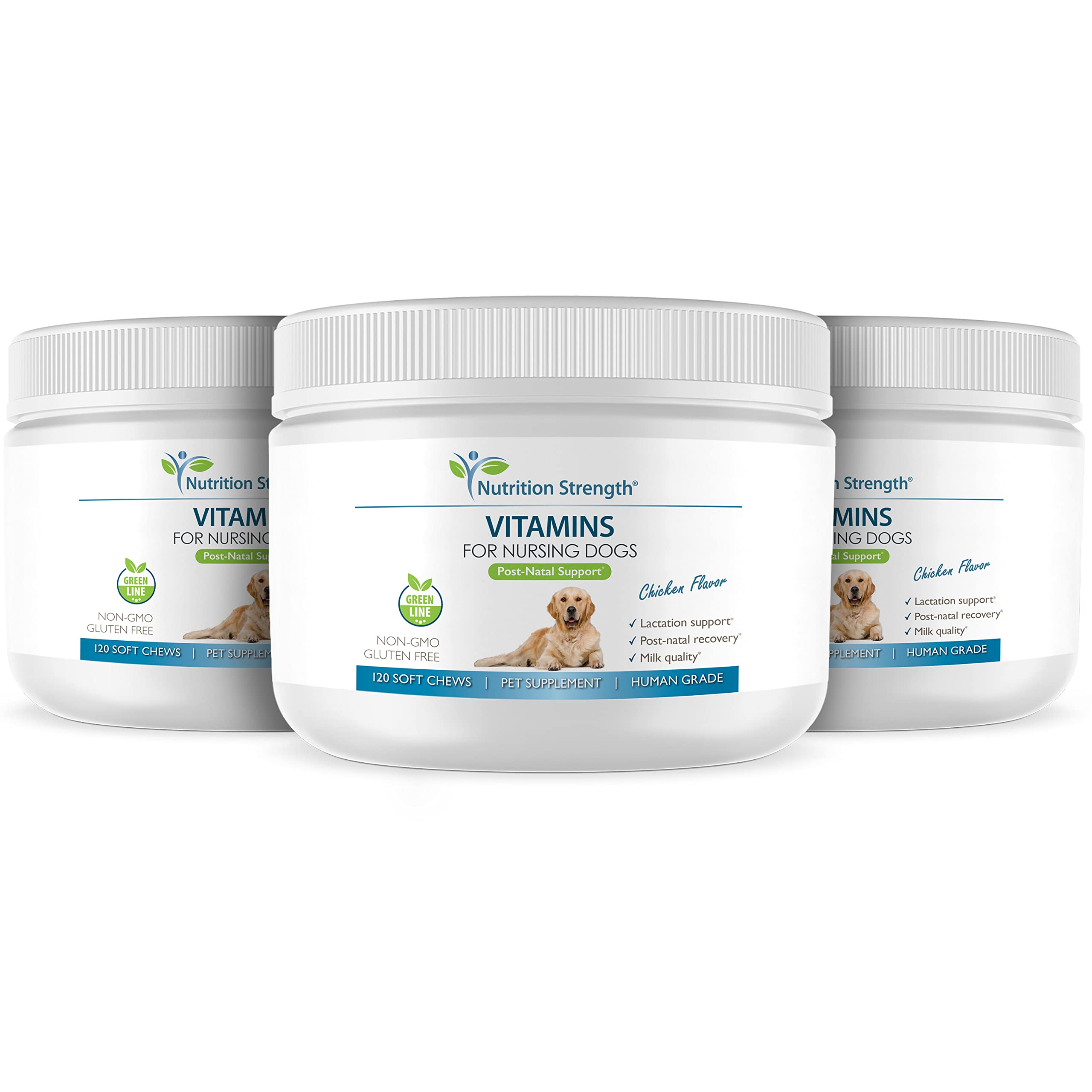 Nutrition Strength – amélioration qualité du lait pour chiots