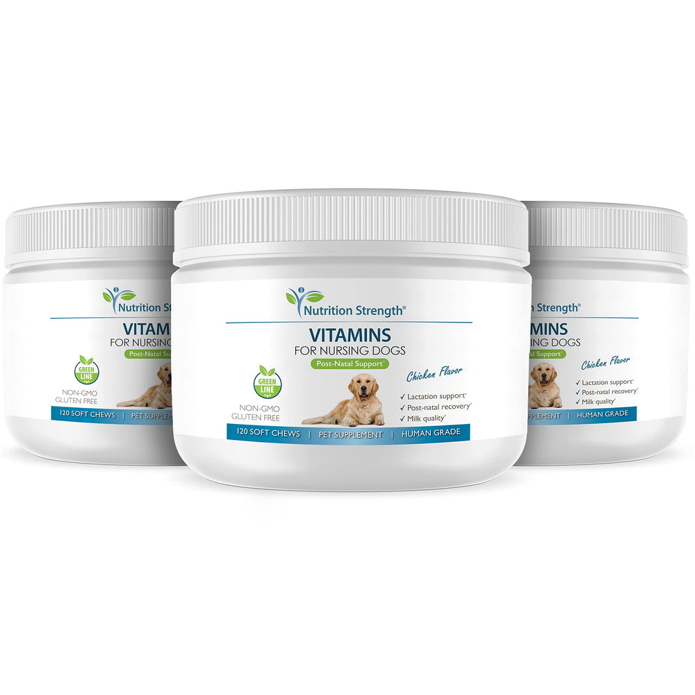 Nutrition Strength – amélioration qualité du lait pour chiots