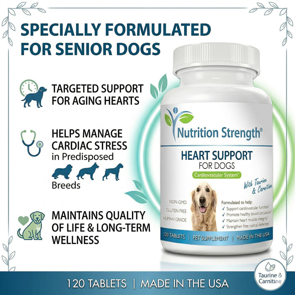 Nutrition Strength Santé cardiovasculaire: antioxydants et nutriments clés pour le bien-être.