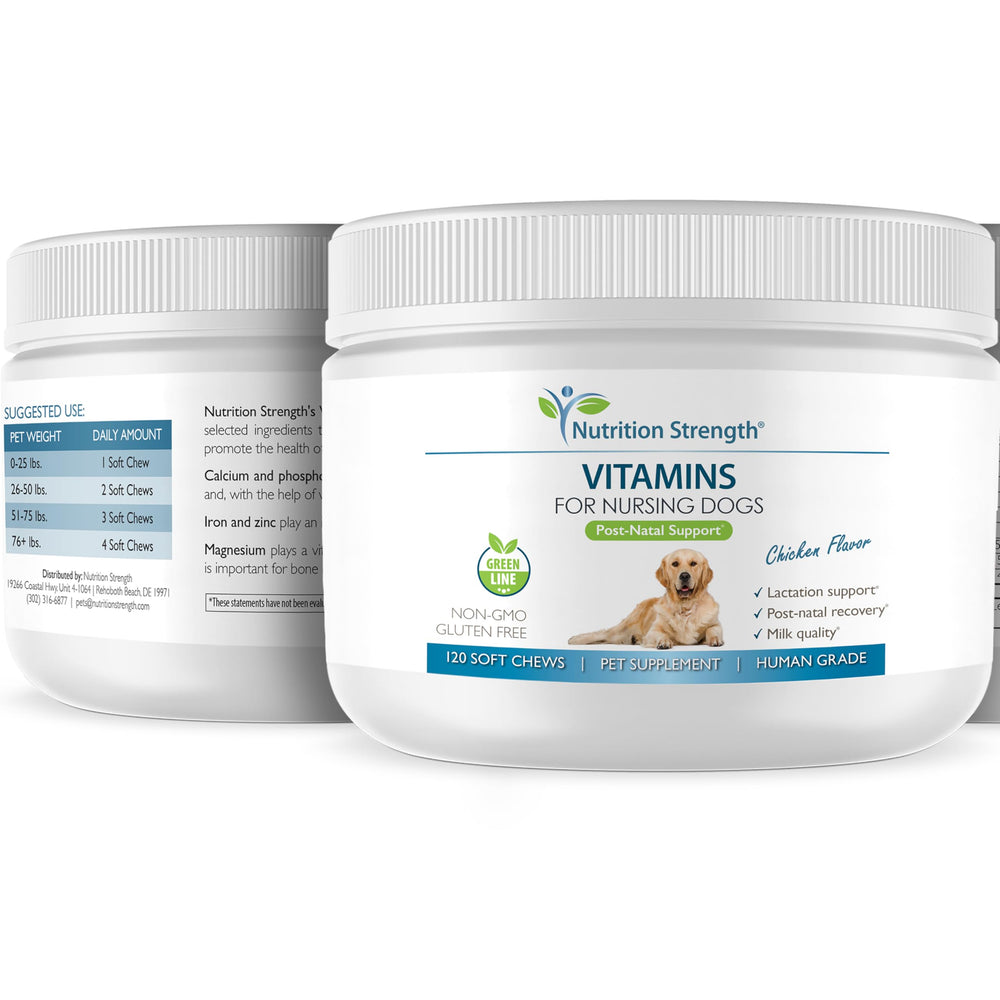 Nutrition Strength – soutien post-natal énergie pour la chienne