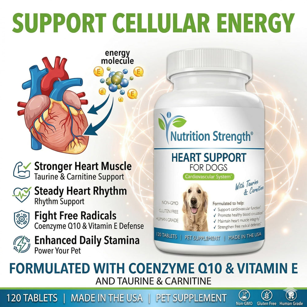 Nutrition Strength Tablettes à mâcher: solution pratique et goût agréable pour les chiens.