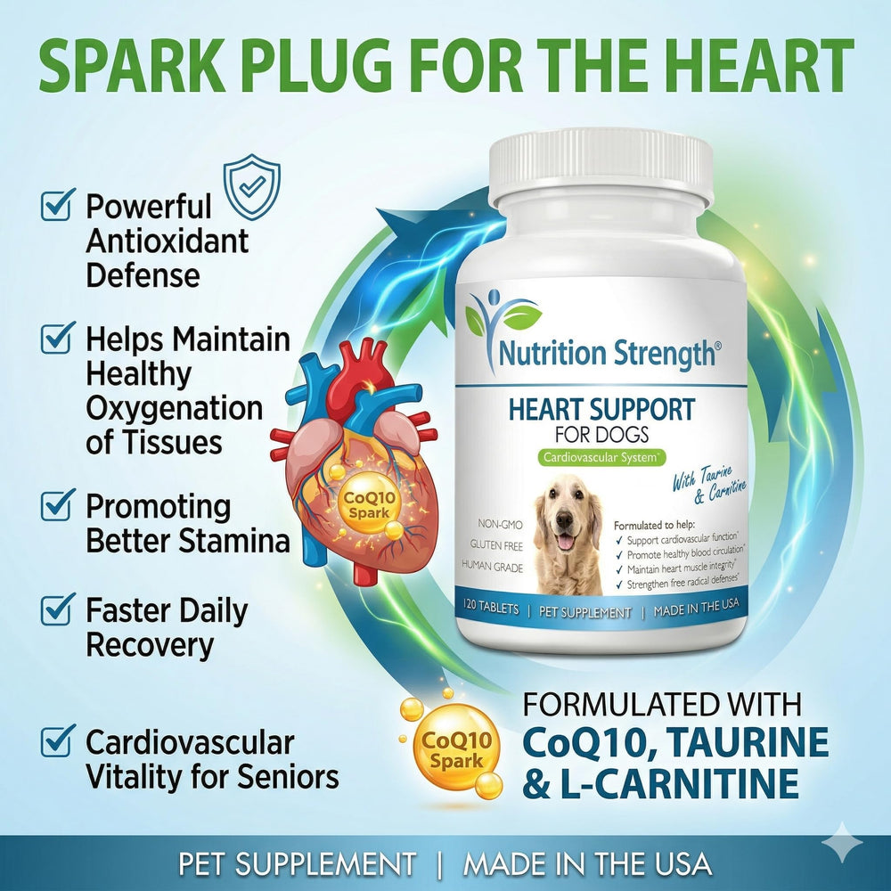 Nutrition Strength Tablettes Coeur Chien: bouchées à mâcher savoureuses favorisant la circulation sanguine.