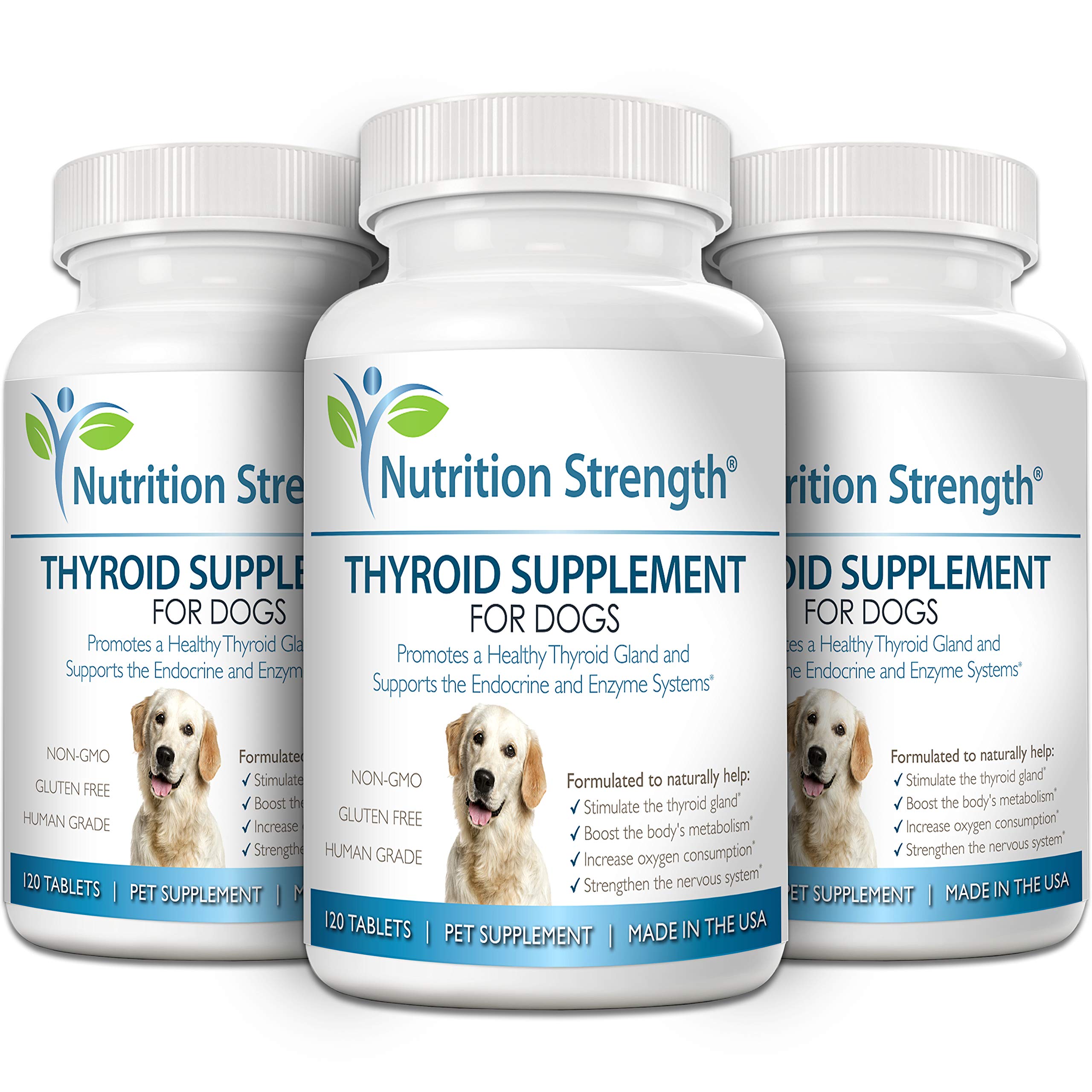 Nutrition Strength tablettes thyroïde chien - potentiel énergie quotidienne