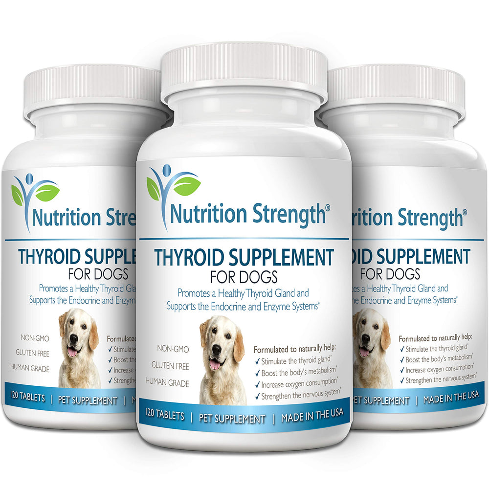 Nutrition Strength tablettes thyroïde chien - potentiel énergie quotidienne