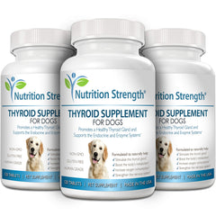 Nutrition Strength tablettes thyroïde chien - potentiel énergie quotidienne