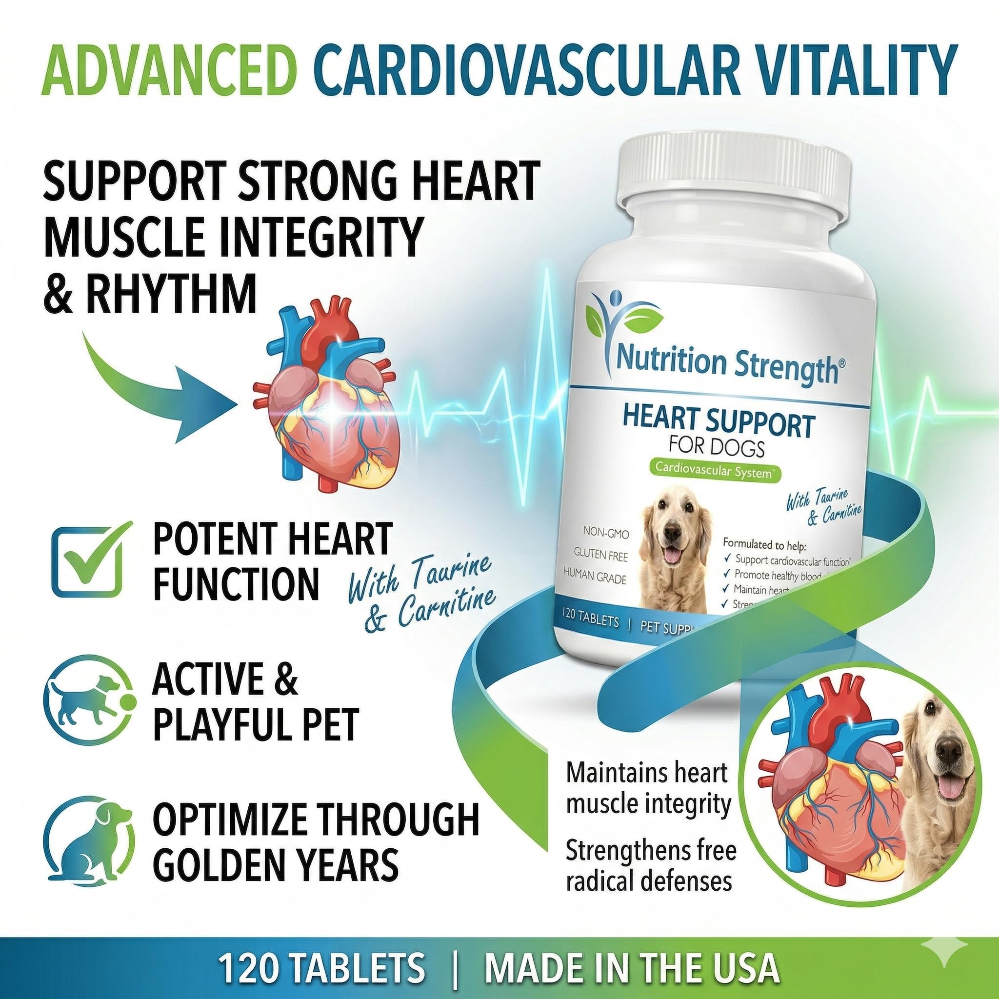 Nutrition Strength Taurine Carnitine Complexe: soutien potentiel des muscles cardiaques et de l’énergie.