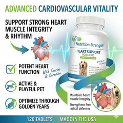 Nutrition Strength Taurine Carnitine Complexe: soutien potentiel des muscles cardiaques et de l’énergie.