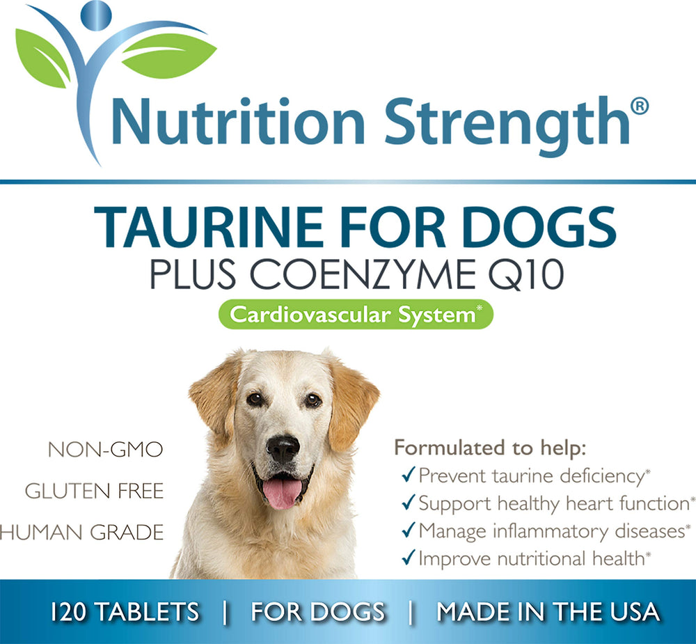 Chien en promenade avec Nutrition Strength Taurine, soutien potentiel du cœur
