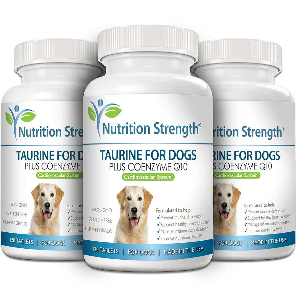 Tablettes Nutrition Strength Taurine tenues en main, dosage pratique