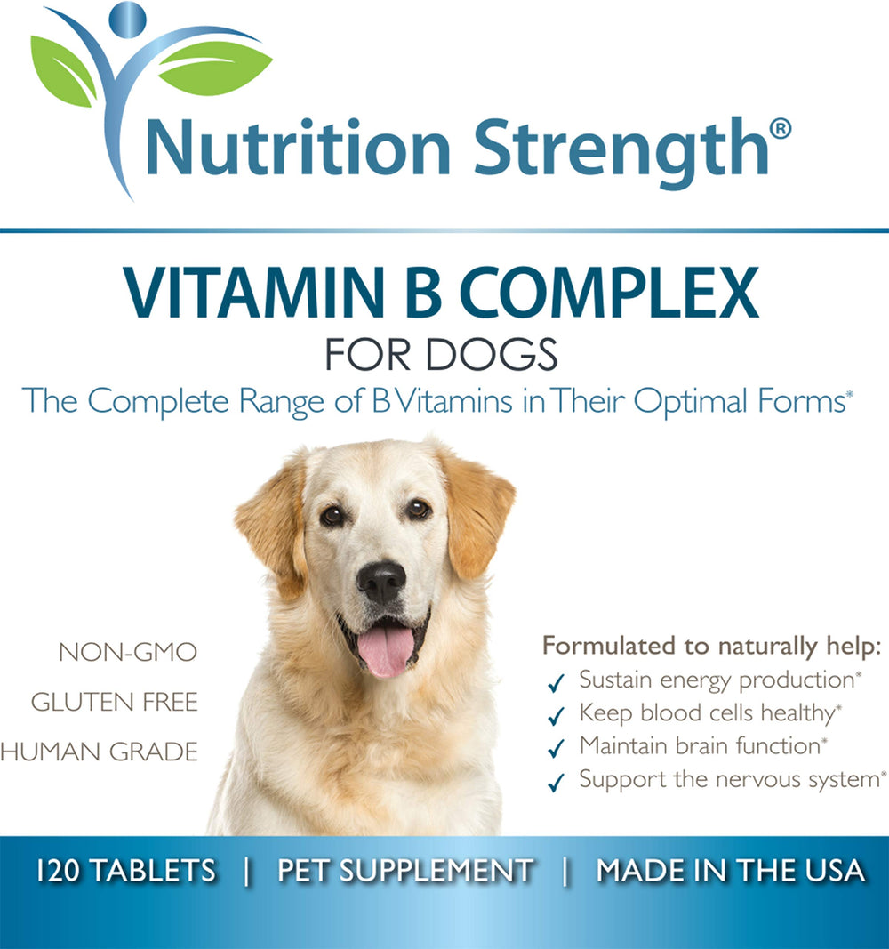 Nutrition Strength – utilisation quotidienne facile, apport nutritionnel durable chien