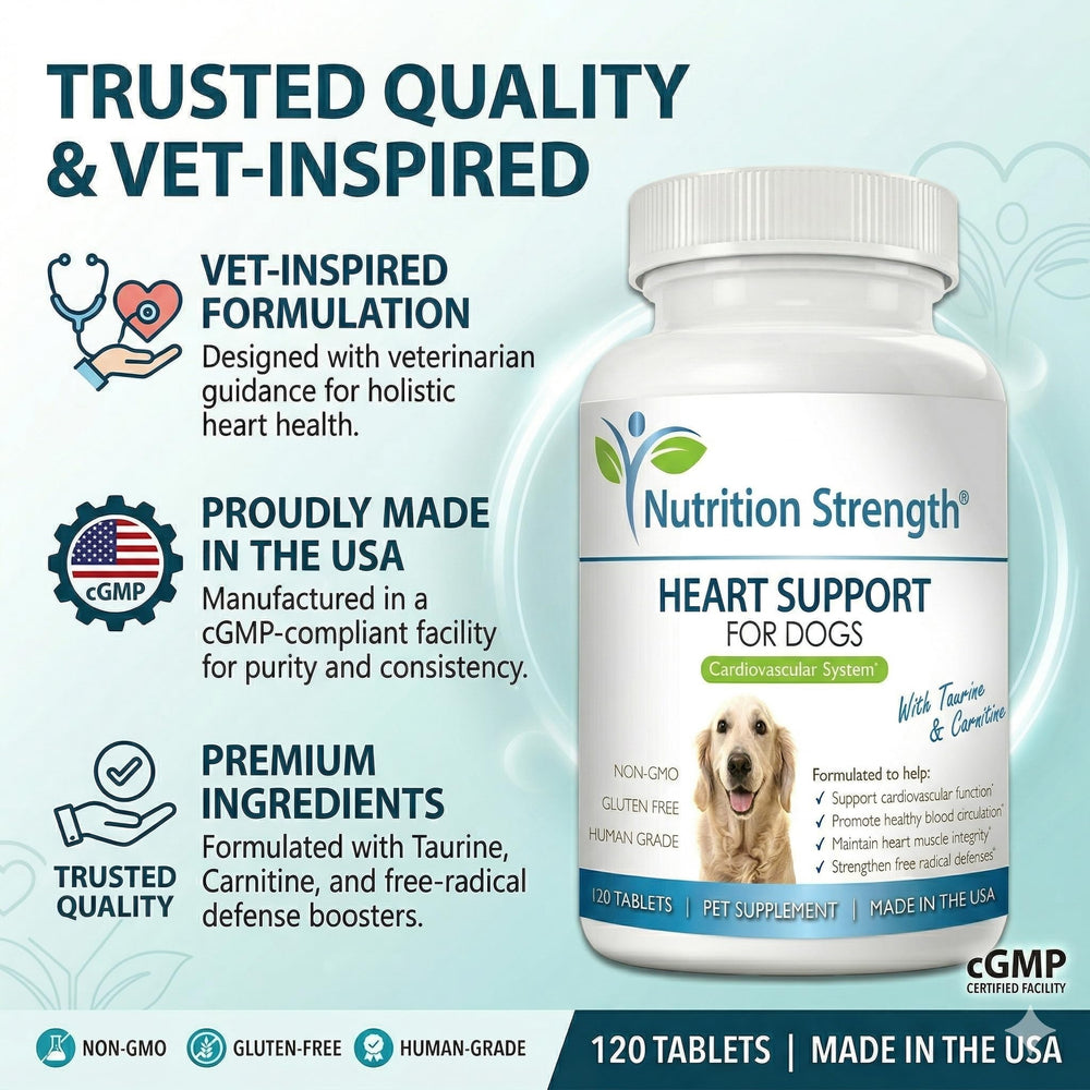 Nutrition Strength Utilisation quotidienne: soutien durable pour chiens de toutes tailles.