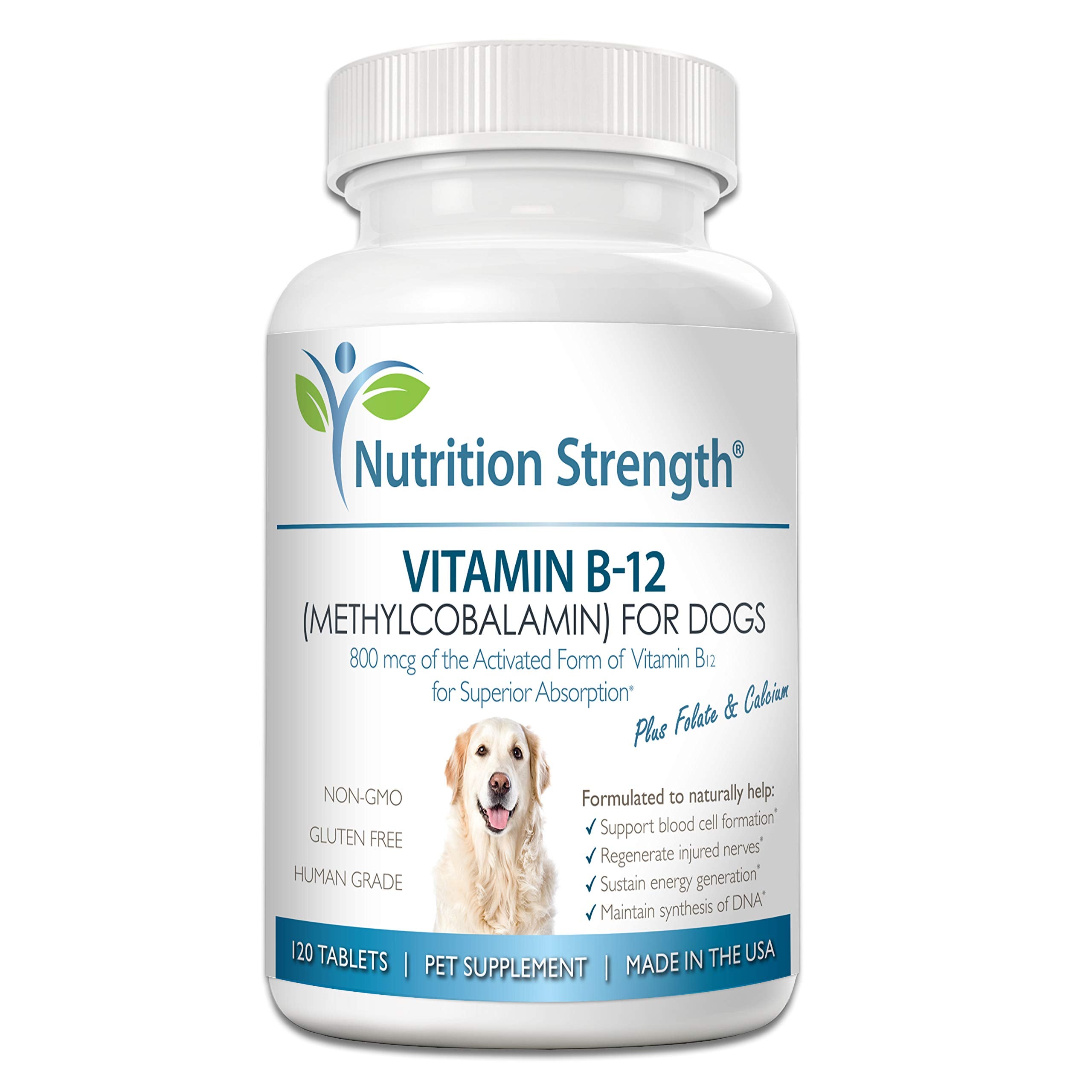 Nutrition Strength vitamine B12 pour chien en bouteille, soutien énergétique potentiel.