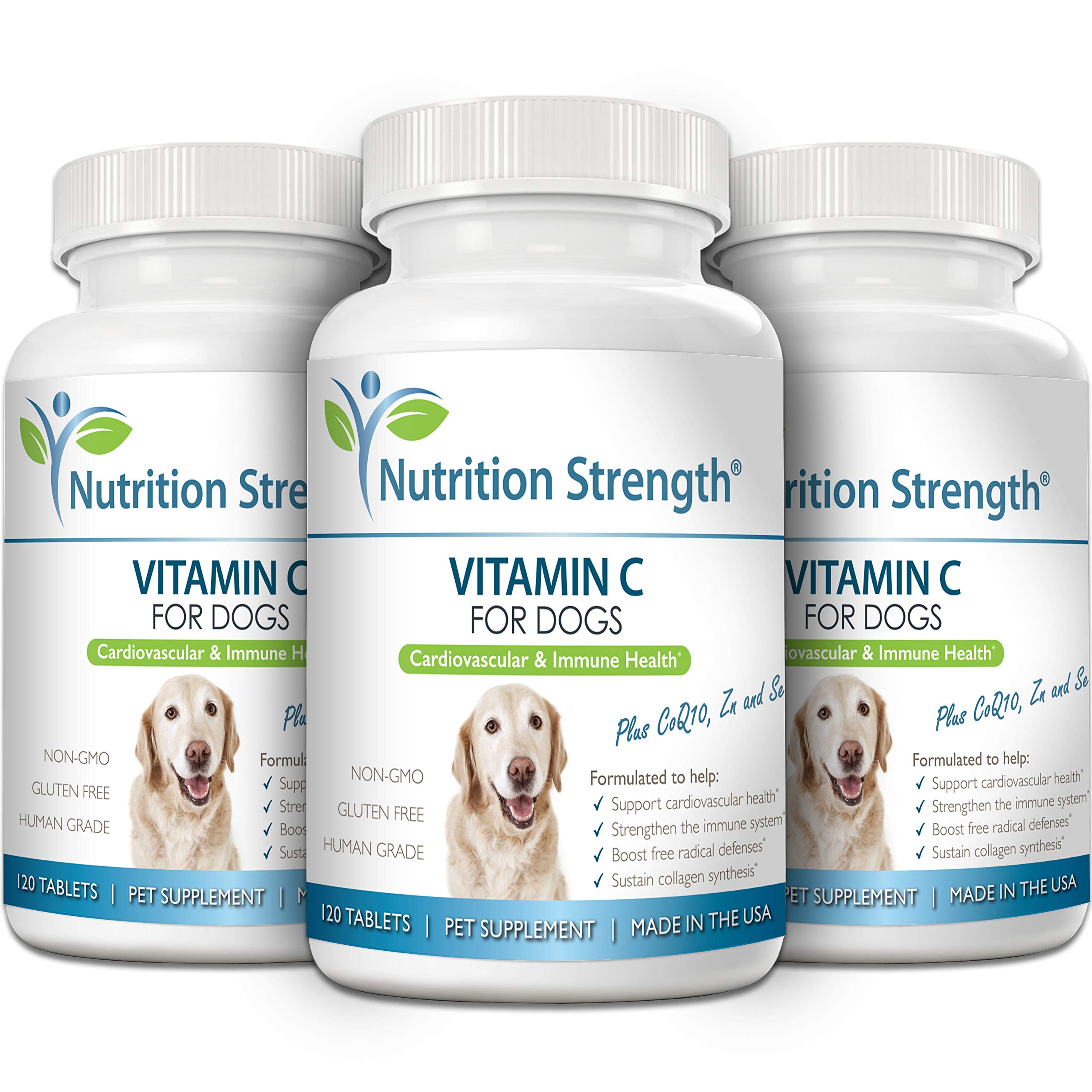 Nutrition Strength vitamine C pour chiens — illustration des antioxydants et du soutien cellulaire