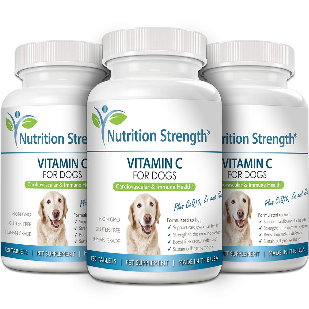 Nutrition Strength vitamine C pour chiens — illustration des antioxydants et du soutien cellulaire