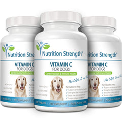 Nutrition Strength vitamine C pour chiens — illustration des antioxydants et du soutien cellulaire