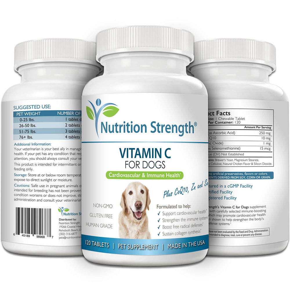 Nutrition Strength vitamine C pour chiens — focus sur la synthèse du collagène et la vitalité des tissus