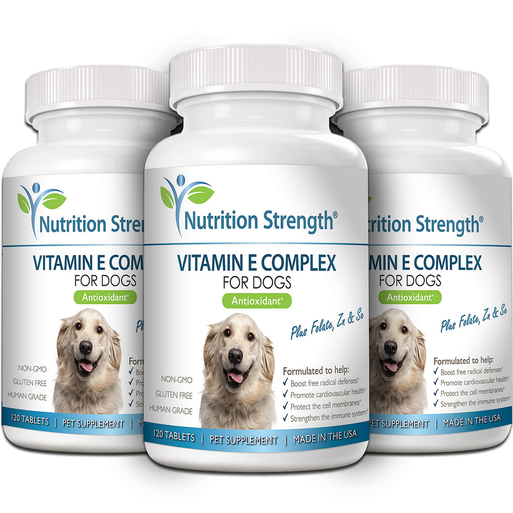 Nutrition Strength Vitamine E pour chiens – ingrédients saumon et huile pour soutien nutritionnel
