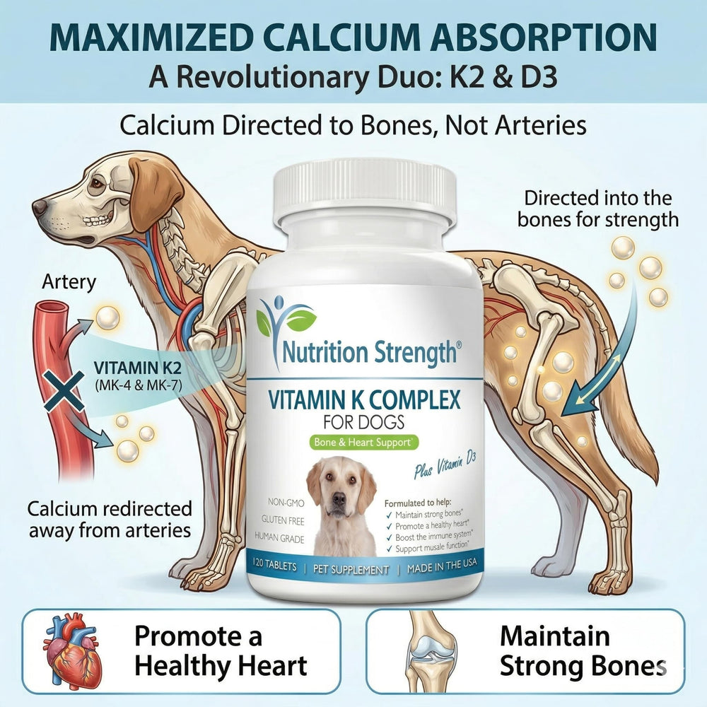 Nutrition Strength K1/K2 – formule complète soutenant circulation et coagulation chez le chien.
