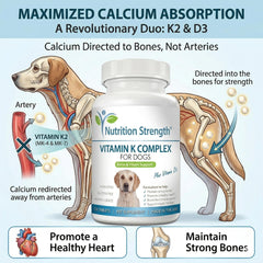 Nutrition Strength K1/K2 – formule complète soutenant circulation et coagulation chez le chien.