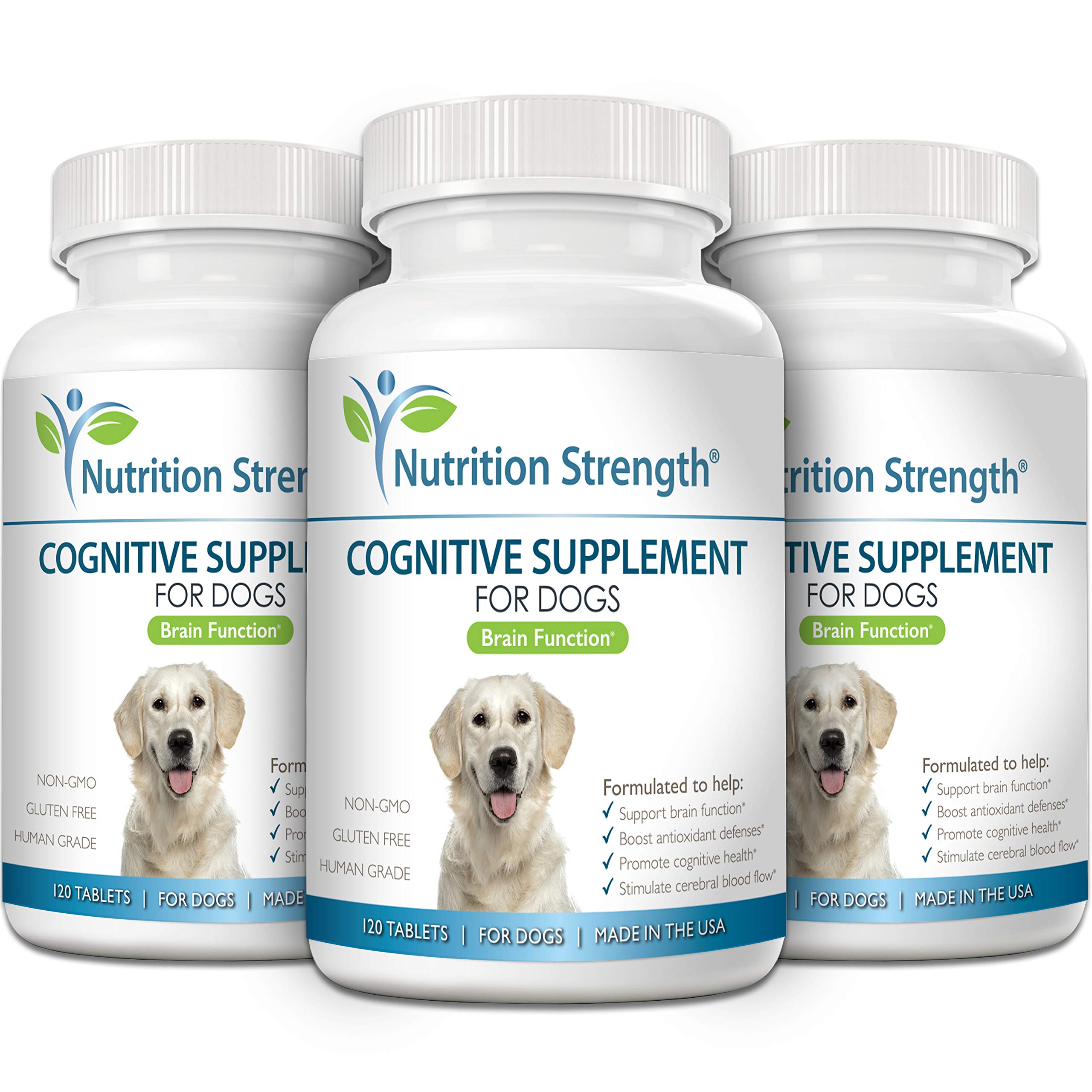 Vitamines B et E pour le cerveau du chien, selon la formulation Nutrition Strength.