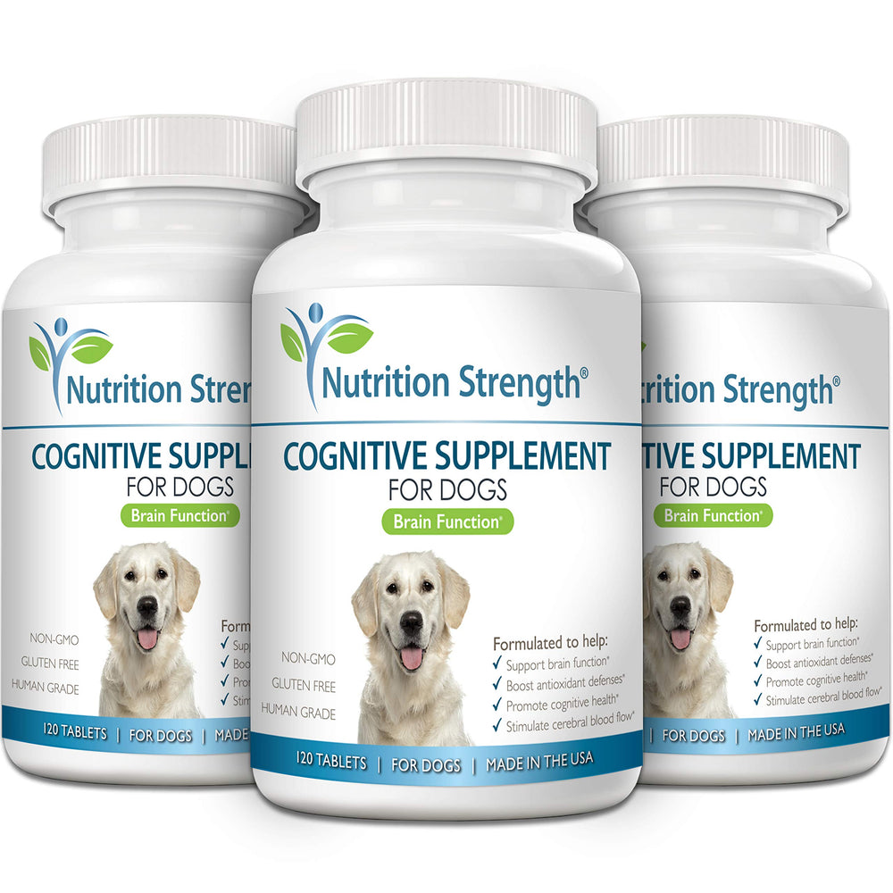 Vitamines B et E pour le cerveau du chien, selon la formulation Nutrition Strength.