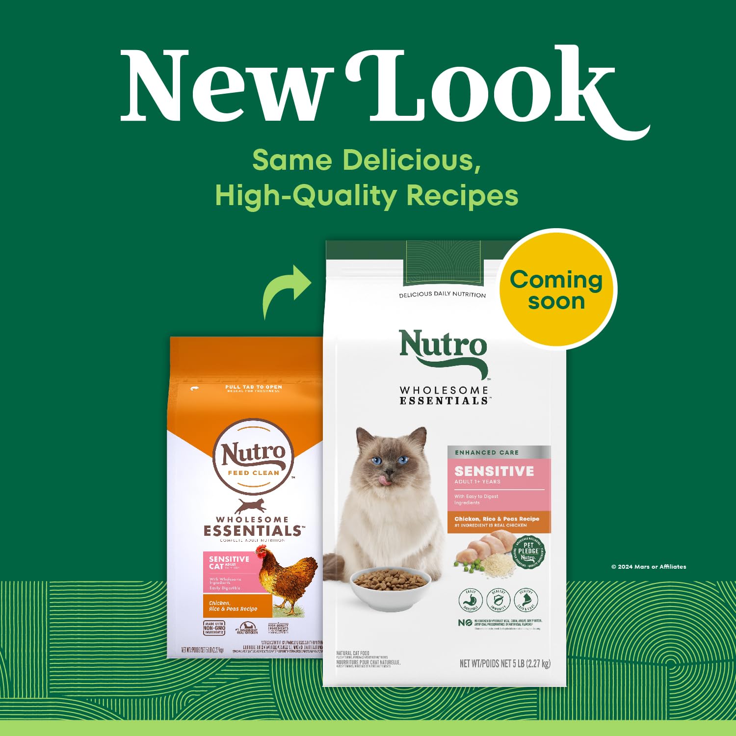 Nutro croquettes quotidiennes, alimentation fiable pour chat sensible.