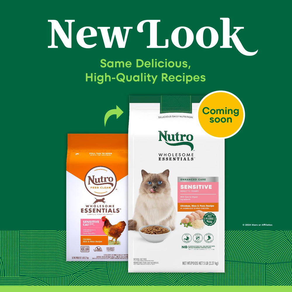 Nutro croquettes quotidiennes, alimentation fiable pour chat sensible.