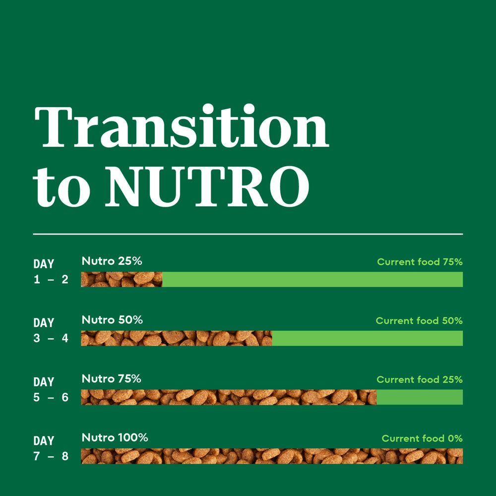 Nutro Chat: poulet réel comme premier ingrédient