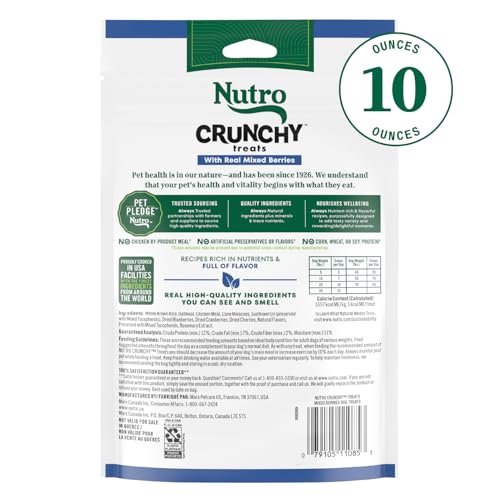 Nutro – ingrédients naturels visibles pour chien, soutien nutritionnel et plaisir.