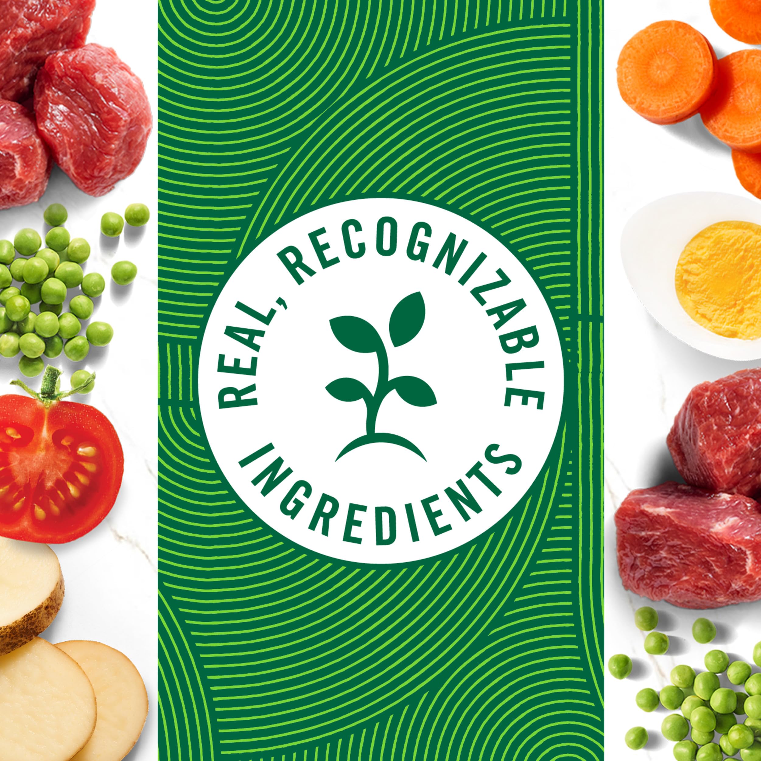 Nutro dinde ragout légumes plateau 99g – sans céréales pour différents régimes.