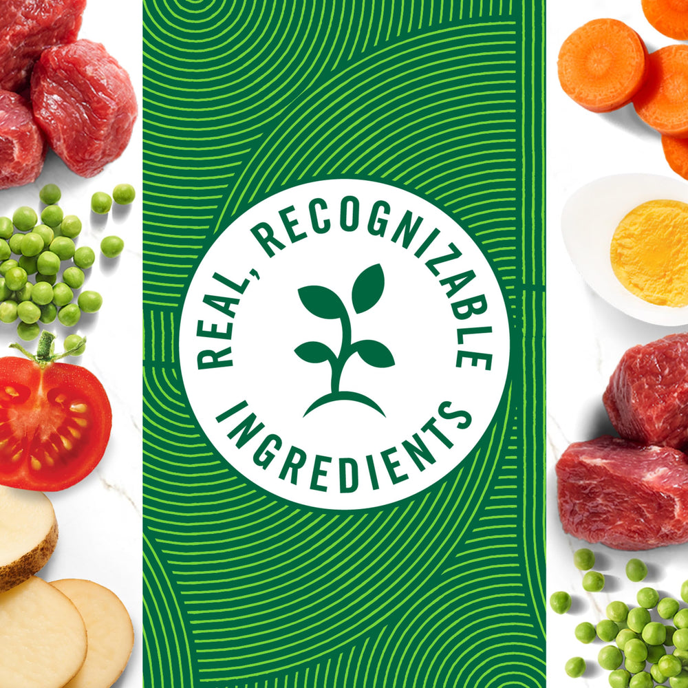 Nutro dinde ragout légumes plateau 99g – sans céréales pour différents régimes.