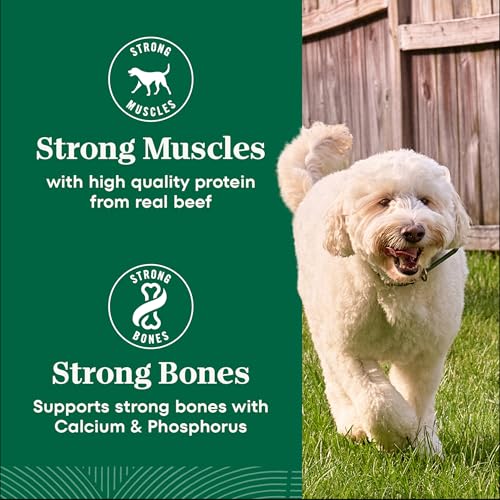 Nutro Natural Choice – énergie quotidienne et vitalité pour chien adulte