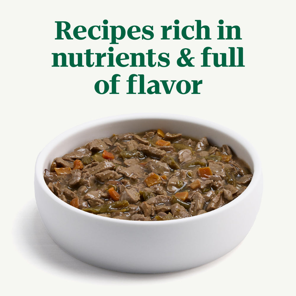 Bol quotidien Nutro Hearty Stew, portions pratiques pour repas canin