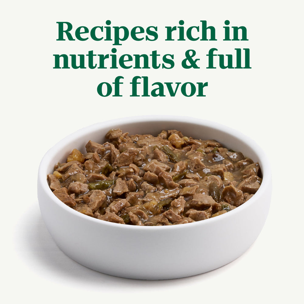 Nutro Hearty Stew: formule sans céréales adaptée à certains chiens sensibles.