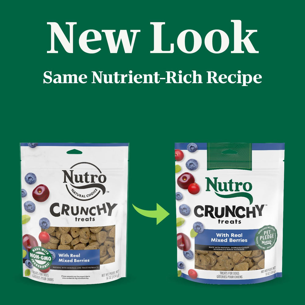 Nutro ingrédients protéines de qualité: base solide pour des friandises nutritives.