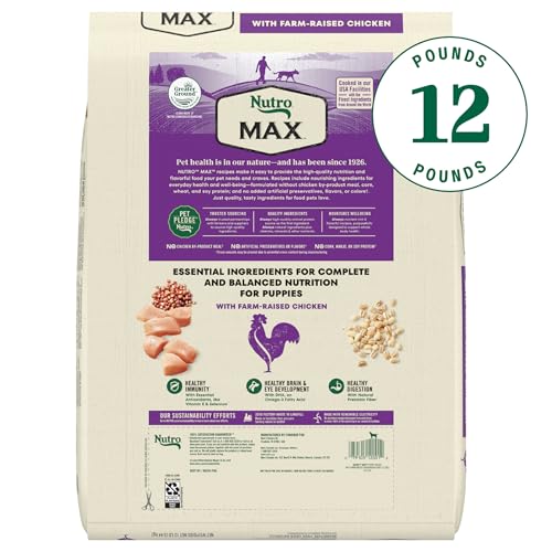 Nutro MAX Puppy croquettes, repas quotidien pour chiots en développement.