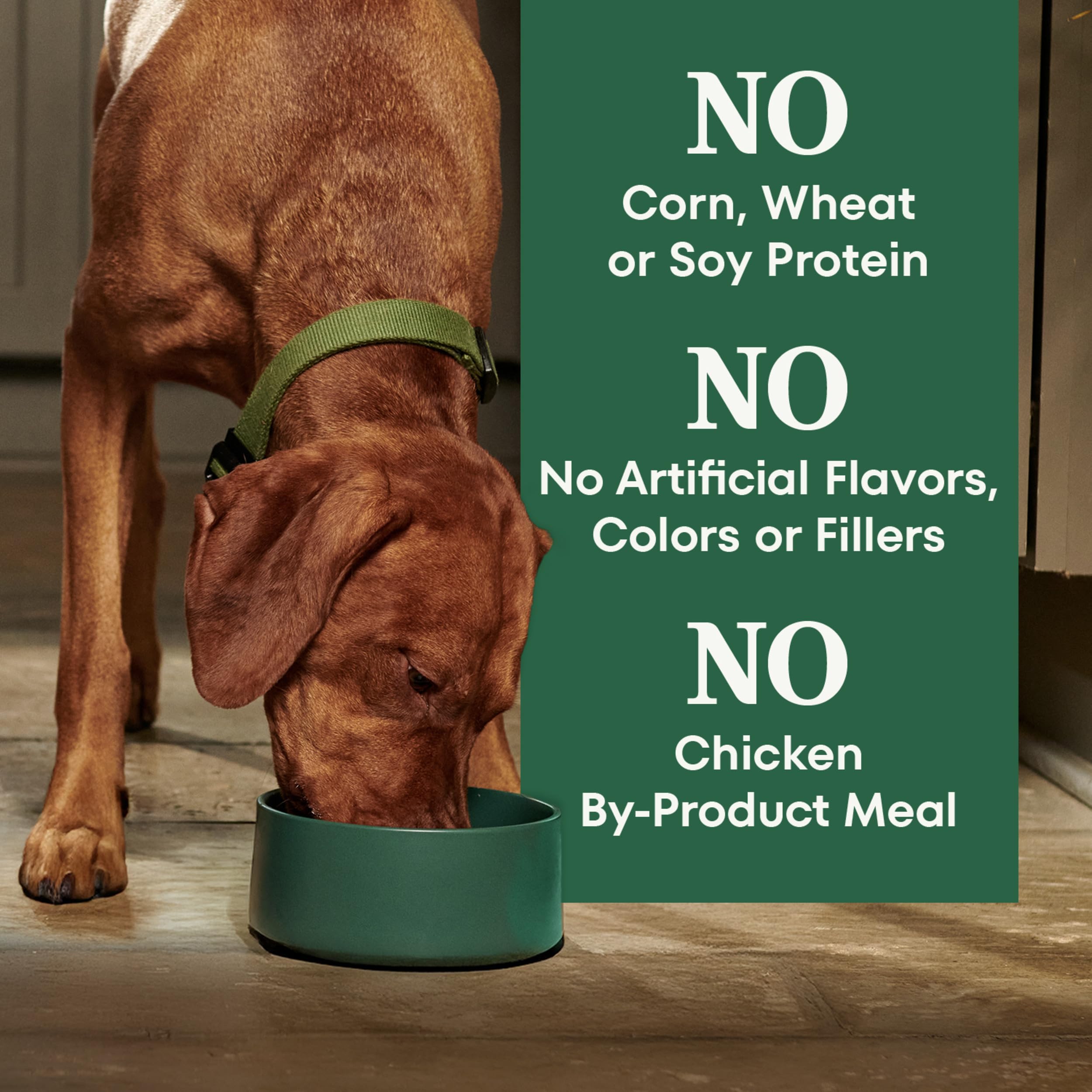 Nutro Natural Choice : énergie régulière pour chiens adultes actifs.
