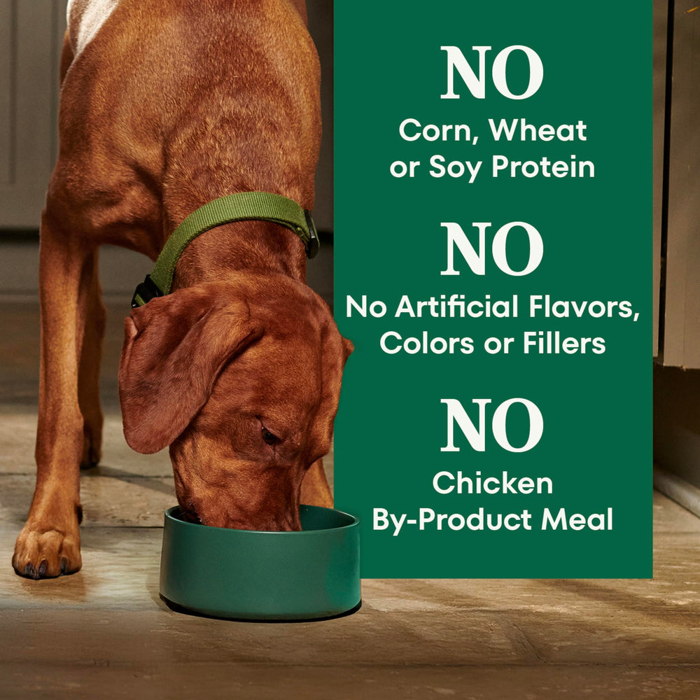 Nutro Natural Choice : énergie régulière pour chiens adultes actifs.