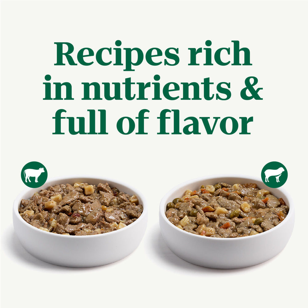 Nutro Naturel Choice boeuf en sauce, repas sans céréales apprécié.