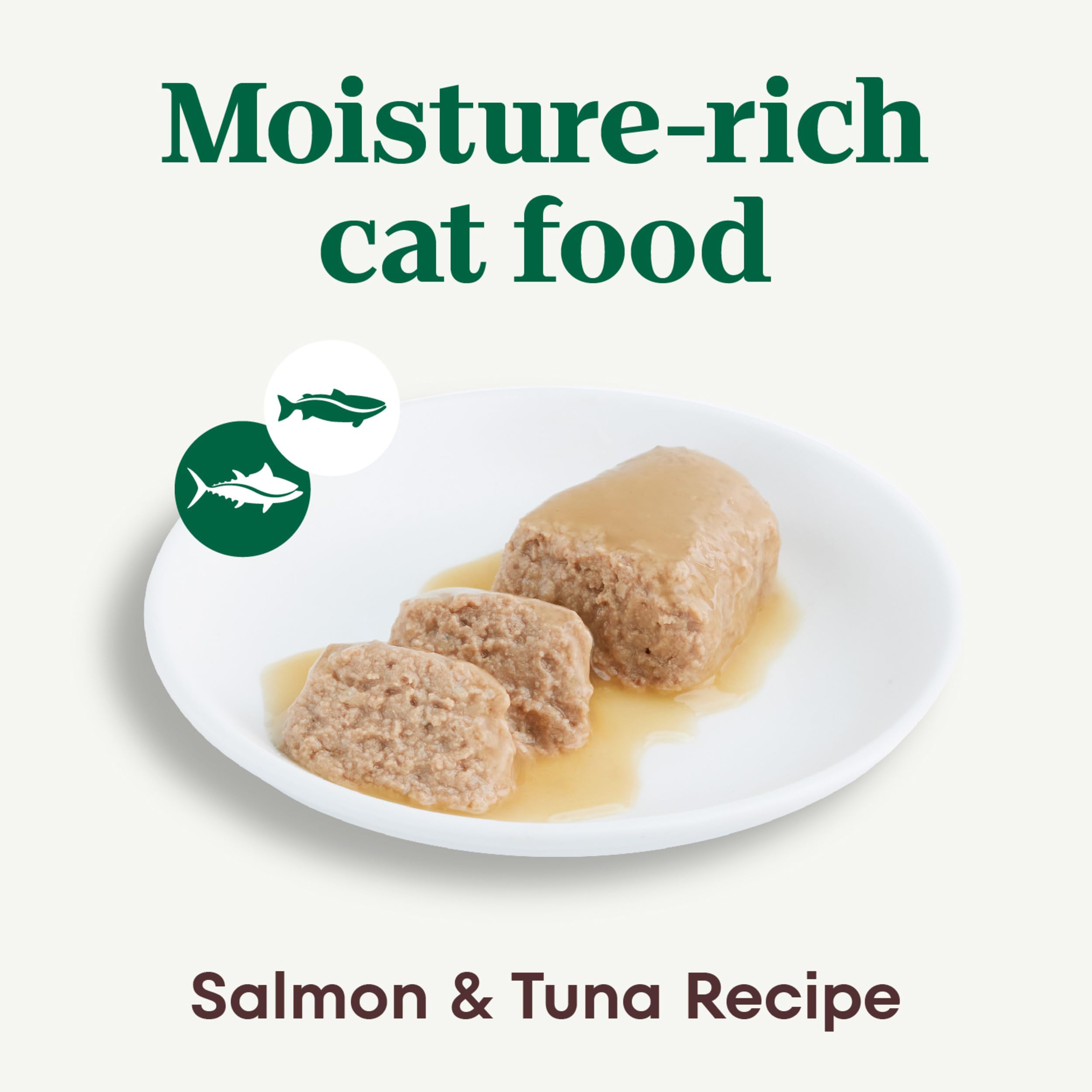 Nutro pâté saumon-thon, morceaux réels pour repas humide nourrissant