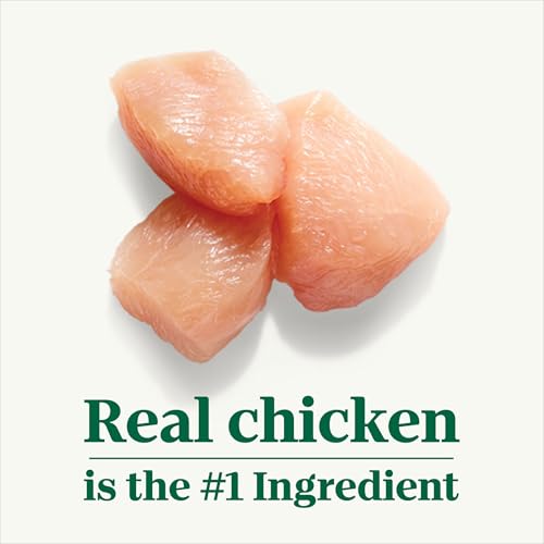 Barquettes Nutro sans céréales 3,5 oz: poulet en sauce, portion pratique