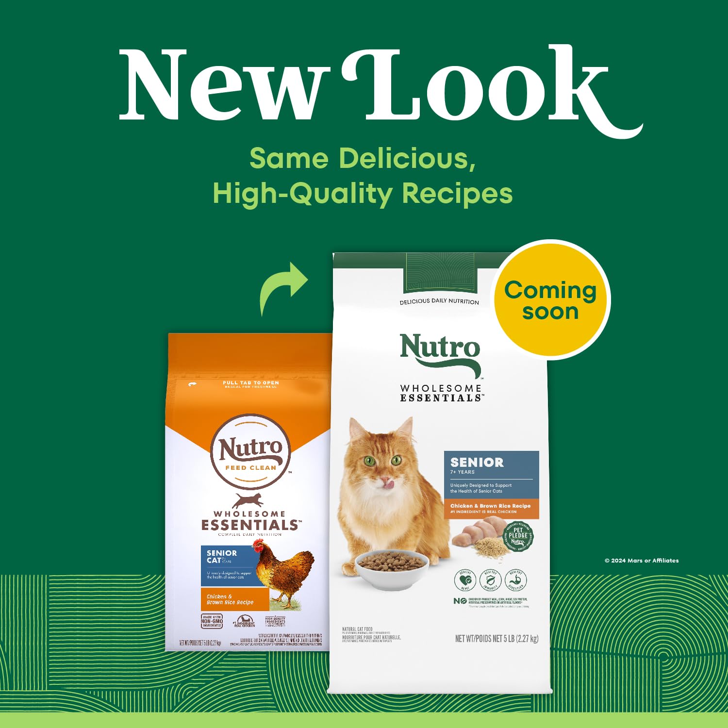 Nutro senior croquettes detail texture — texture croquante visible