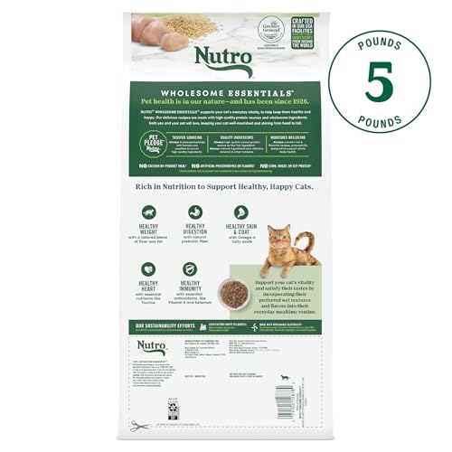 Nutro Wholesome Essentials premier ingrédient poulet, nutrition complète pour chat