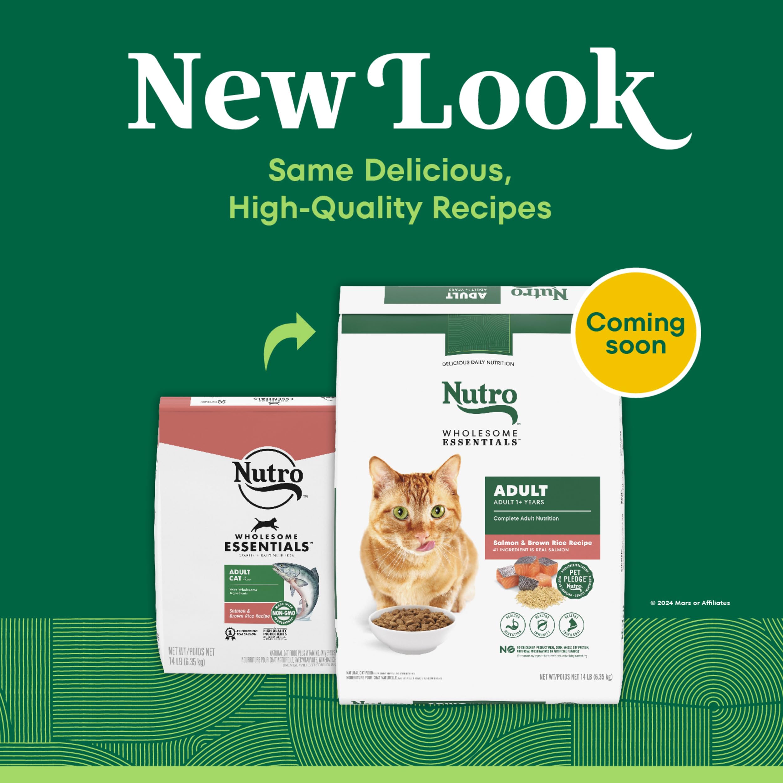 Fibre prebiotiques naturelles facilitant digestion equilibrée du chat.