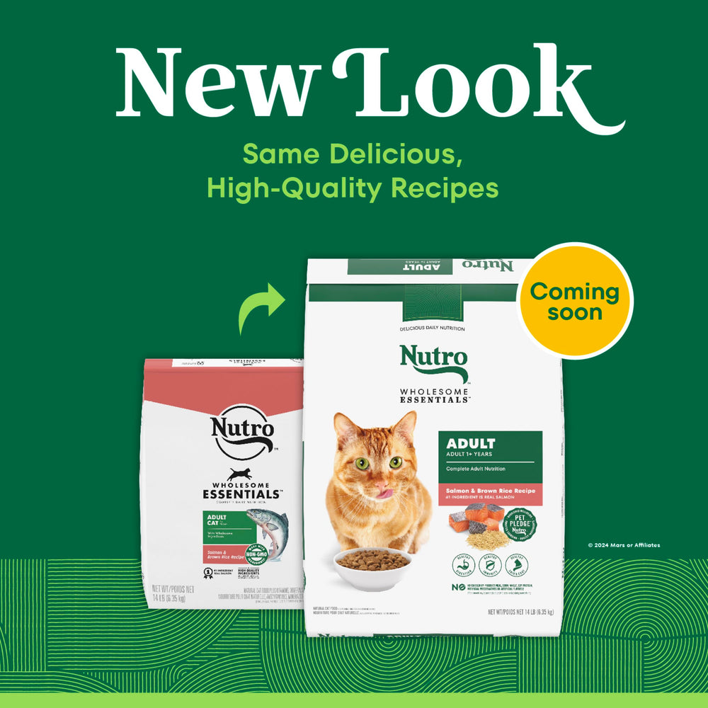 Fibre prebiotiques naturelles facilitant digestion equilibrée du chat.