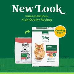Fibre prebiotiques naturelles facilitant digestion equilibrée du chat.