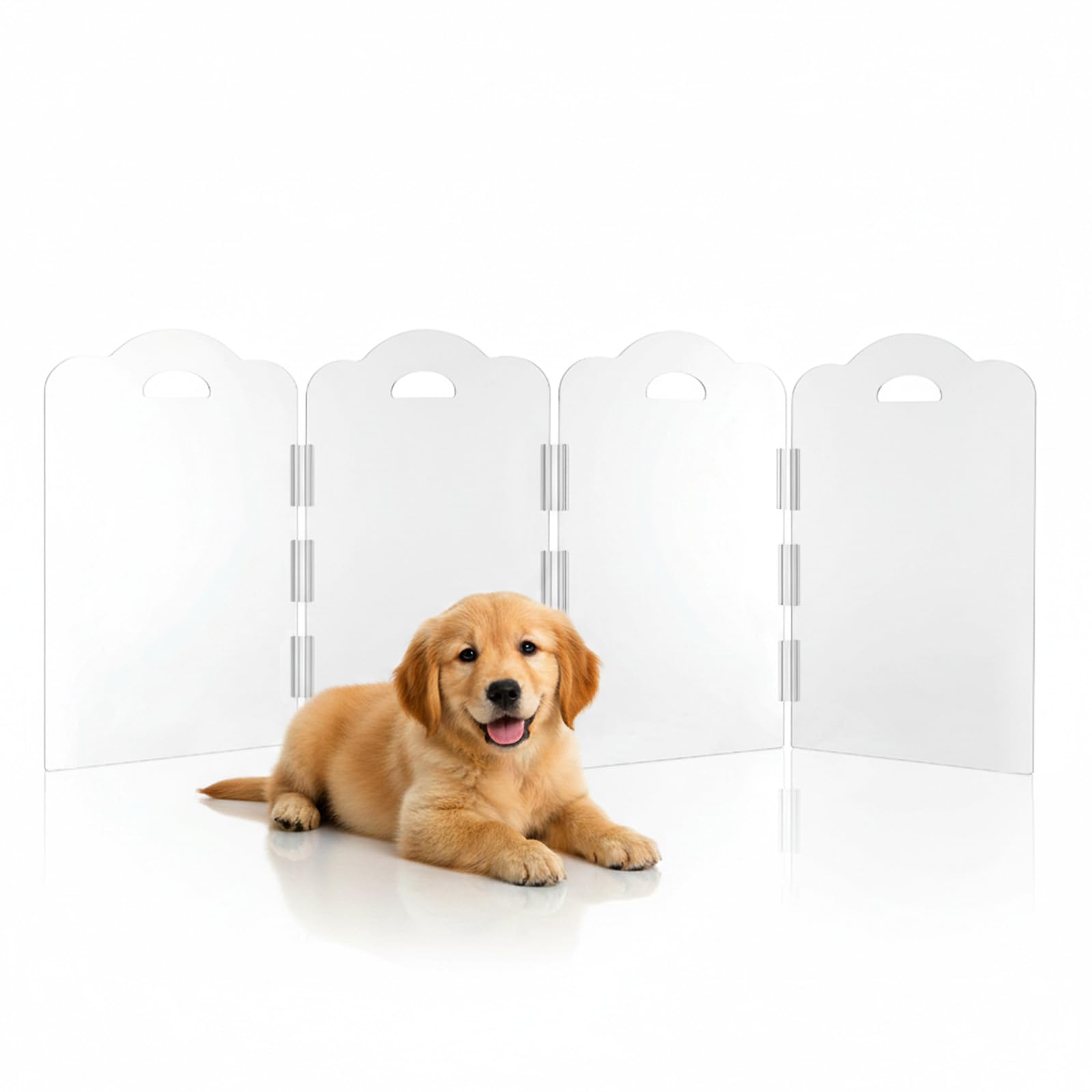 NutroLab barrière acrylique transparente, 4 panneaux pliables adaptés à divers espaces.
