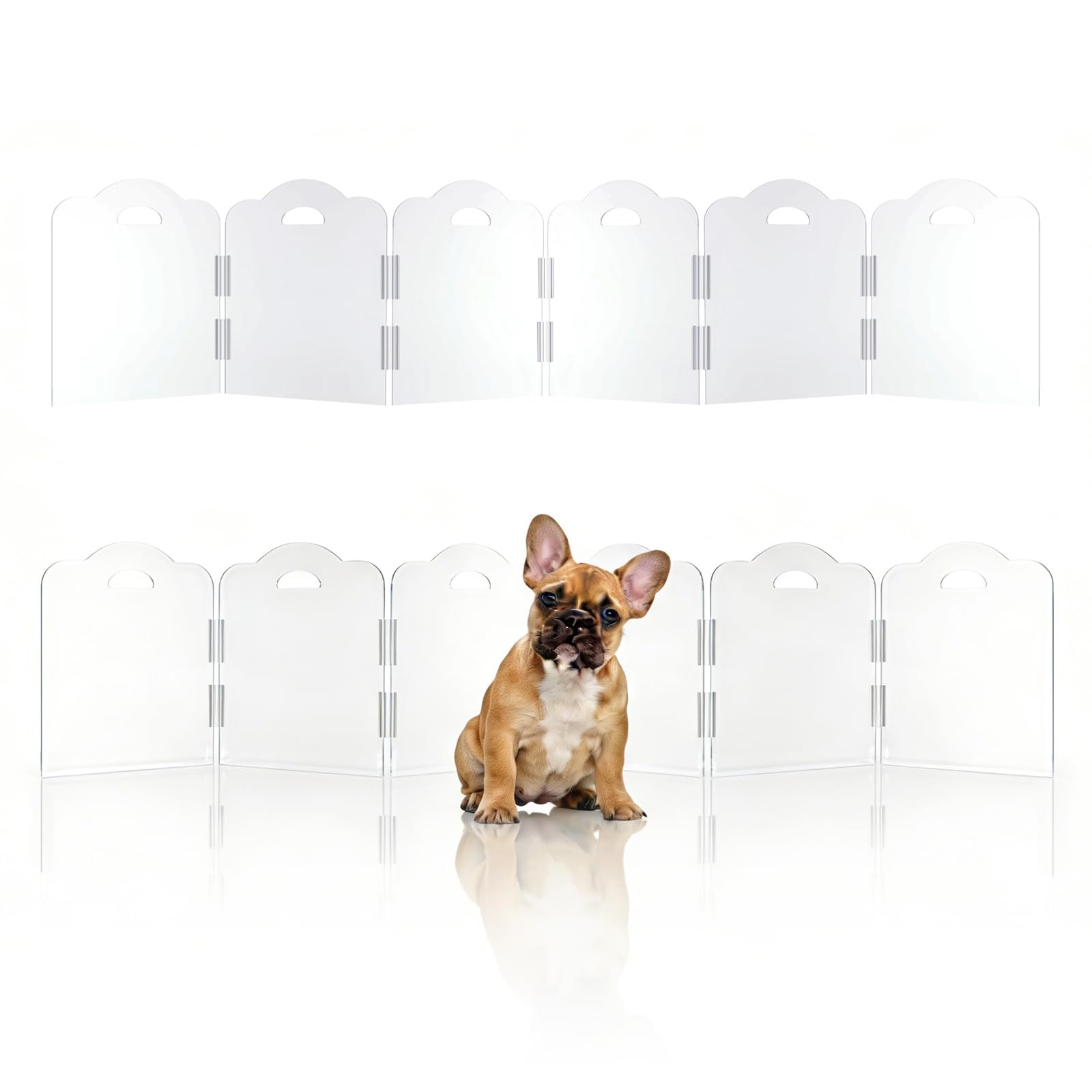 NutroLab barrière modulaires à 6 panneaux en acrylique transparente pour espaces réduits.