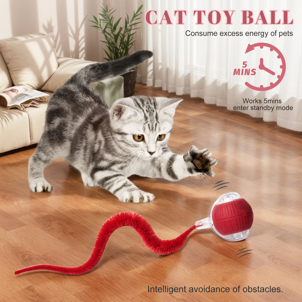 Balle NVTED avec queue pelucheuse: attire rapidement les chats et stimule la chasse.